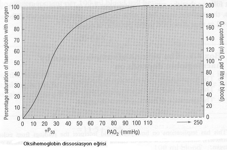 Kronik Oksijen Tedavisi Endikasyonları PaO2 > 59mmHg, SaO2 >%89 (Tedaviler yetersiz