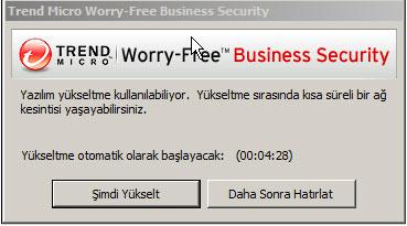 Worry-Free Business Security 9.