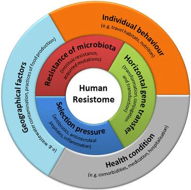 Rezistom Mikrobiyotada bulunan direnç genleri topluluğu Rezistomu oluşturan direnç genleri? Direnç genlerinin kaynağı?