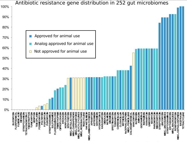 İnsan bağırsak mikrobiyotası, önemli bir direnç geni kaynağıdır* Direnç genlerinin çeşitliliği ve