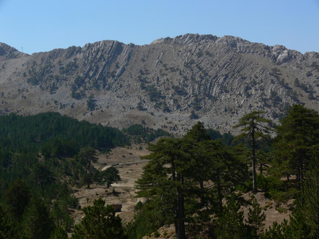 Karbonatlı kayaların büyük kalınlık ve yanal yayılıma sahip olduğu Orta Toroslar karst alanında; deniz düzeyinin 150 metre altından başlayarak 3500