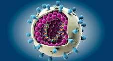 İnfluenza Aşıları: Yenilik var mı? Dr. Serap Gençer Dr.
