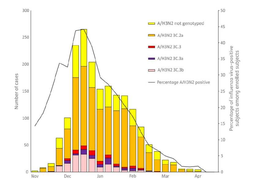 Influenza A (H3N2) viruses by genetic group and percentage influenza