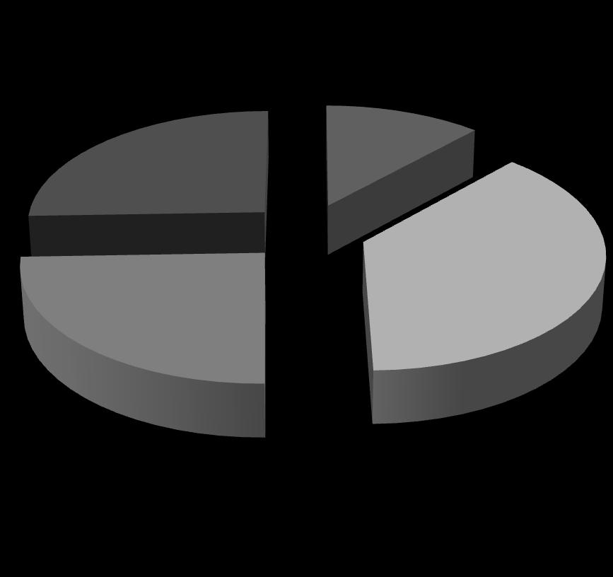 Pür OSAS 25% REM ilişkili OSAS 12% REM + pozisyon ilişkili OSAS 25% Pozisyon