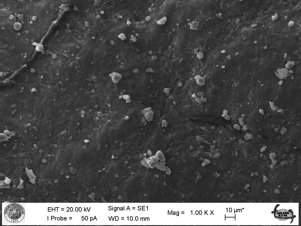 42 emdirme işlemine tabi tutulmasının ardından alınan SEM görüntüleri Şekil 6.2 de verilmiştir.