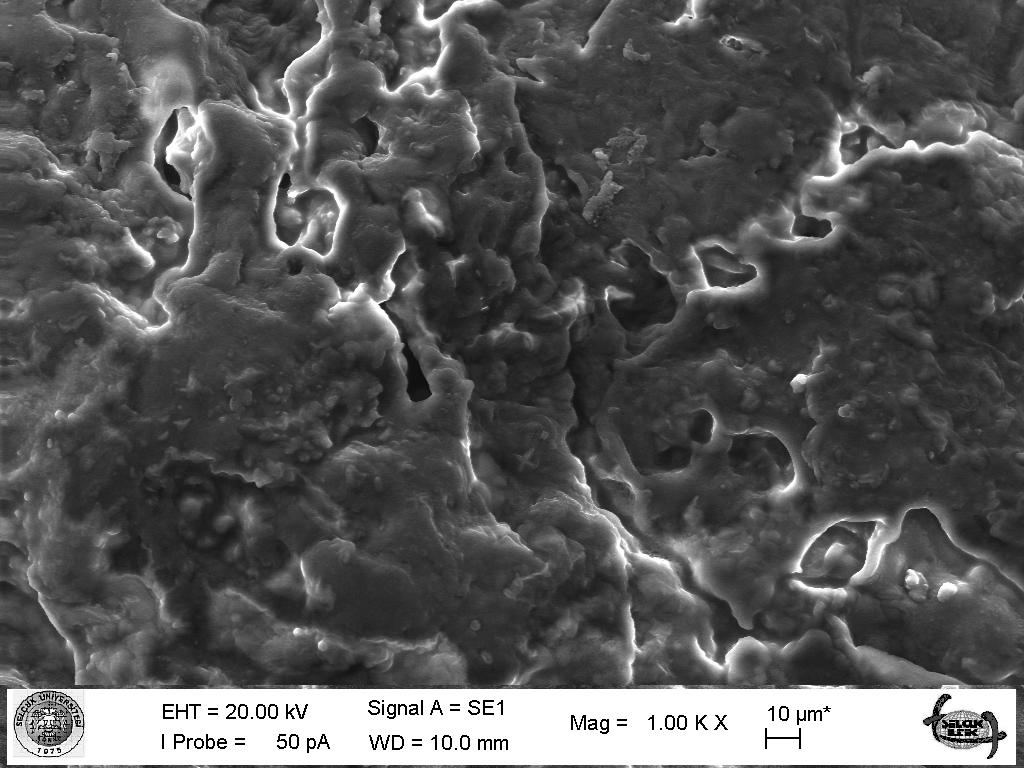 2 a) da görülen hammaddeye ait SEM görüntüsü incelendiğinde yüzeyin genel olarak çok gözenekli olmayan bir yapıda olduğu görülmektedir.
