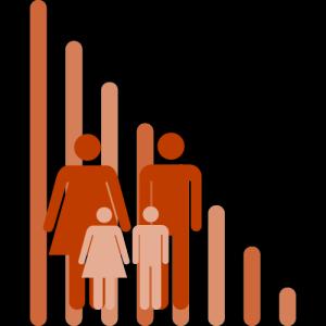 Hanehalkı ve Yurt Çalışma Sonuçları Demografik Yapı Yolculuk