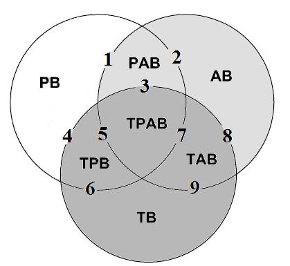 29 bilgi türü ve dokuz sınır koşulu içermesinin TPAB ın teorik anlamını karmaşıklaştırdığını belirtmektedir.