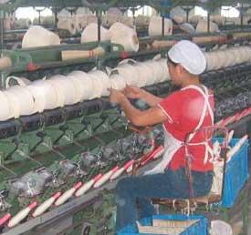 BİSSİNOZİS- Riskli işler Pamuklu tekstil Çırçır,harman-hallaç, Tarak,Vater,Çözgü