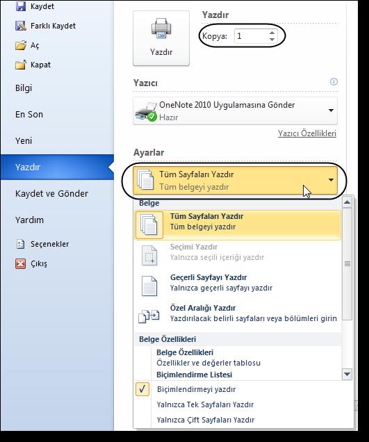 Bir belgenin tümünü değil de istenen sayfaları yazdırmak için ilgili sayfanın numarası ya da numaraları yazdırılır. 1. ve 3. sayfaları yazdırmak için Sayfa kutucuğuna 1,3 yazılır.