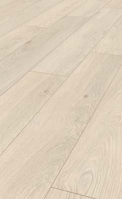 OAK 5019 RED