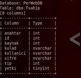 Y.Yılmaz Komut uygulandığında Resim 10 da görüldüğü şekilde bir çıktı verir. İlgili çıktıda PerWebDB veritabanında dbo.tsahip isimli tabloda 8 adet kolon bulunduğunu rapor etmektedir.