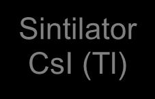Indirek Dijital Dedektörler Sintilator CsI (Tl) Piksel boyutunda Fotodedektör (a-si Matris)