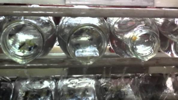 Cam veya Plastik şişelerin yıkamasında kullanılır. Steril dolum şartları için gereklidir. Mono blok sistemdir.
