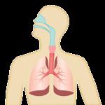 Astım hakkında Astım nedir? Astım, ciğerleri etkileyen yaygın bir tıbbi durumdur.