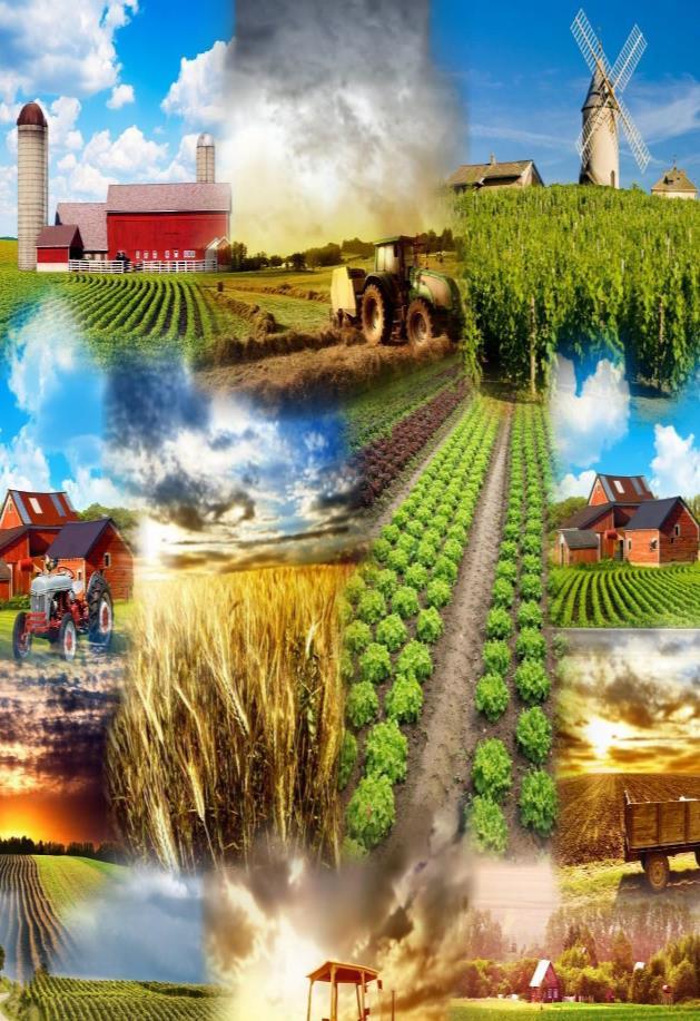 Tarım Ürünleri İthalatımız (2014) 1. Rusya - 2.8 milyar dolar 2. ABD - 1 milyar 3. Ukrayna - 804 milyon dolar 4. Brezilya - 617 milyon dolar 5. Endonezya - 480 milyon dolar 6.