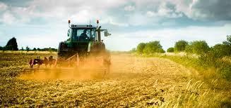 Tarımsal Üretim Büyüklüğümüz AB üyelik sürecinde gösterdiğimiz uyum çabaları, sektördeki değişimler ve artan destekler ile tarımsal