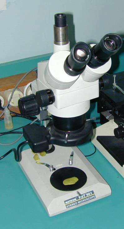 4. Mikroskop ile inceleme: Metalografik muayenede iki tip optik mikroskop kullanılmaktadır. Bunlardan birincisi 50 büyütme oranına kadar büyütme yapabilen Stereo mikroskoplardır.
