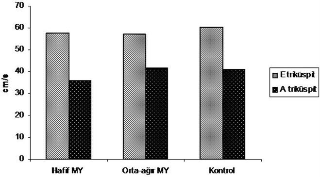 Tablo 7. Triküspit kapak pulsed Doppler ölçüm sonuçları. E dalga hızı (cm/s) A dalga hızı (cm/s) Hafif MY grubu (n:13) Orta-ağır MY grubu (n:24) Kontrol grubu (n:25) P 57.46±8.79 57.23±11.39 60.22±10.