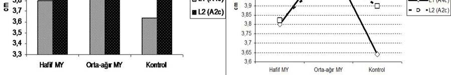 A4c: Apikal 4 boşluk, A2c: Apikal 2 boşluk). Şekil 27.