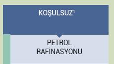 Örnek-1 Petrol Tesisi, İzmit te bulunmaktadır. Tesis, yılda 10 milyon ton petrol işleme kapasitesine sahiptir. Ayrıca tesiste toplamda 780 MWth anma ısıl gücüne sahip çeşitli üniteler bulunmaktadır.