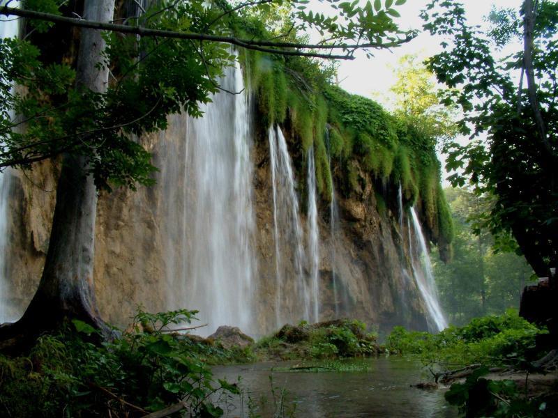 Sevgi tedavi eder; alanları da