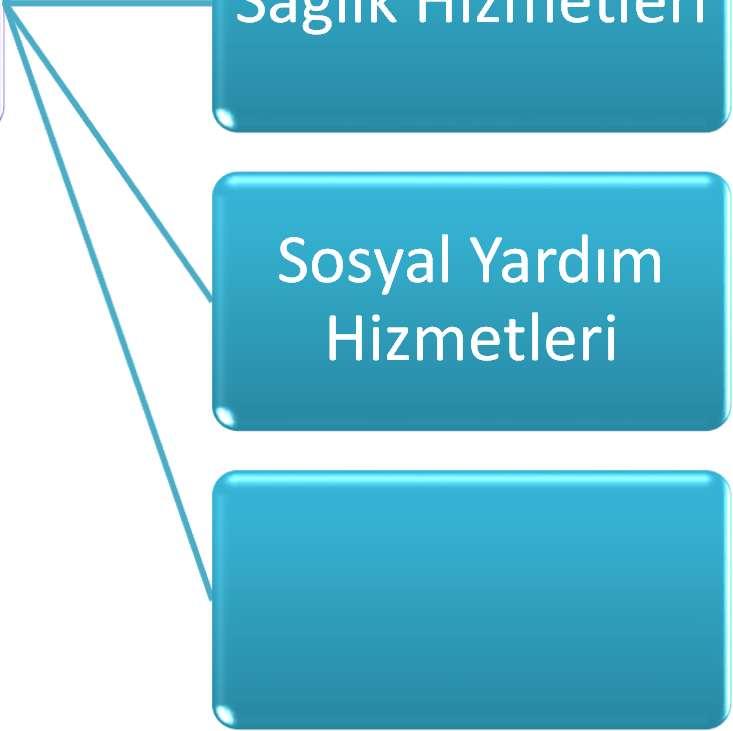 Hizmetleri