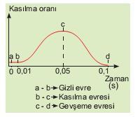 KASLARIN KASILMA MEKANİZMASI Eşik şiddeti: Kasın kasılması için gereken uyarı belli bir şiddetin üzerinde olmalıdır Bu şiddetin altındaki uyarılara tepki vermez Bu şiddetin üzerindeki uyarılara aynı