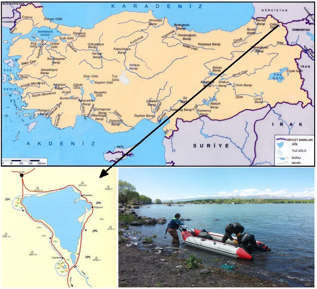 BÖLÜM 3 MATERYAL VE YÖNTEM 3.1. Çalışma Sahası Çıldır Gölü (43.132453-43.332953E/40.940109-41.107950N) Doğu Anadolu bölgesinin Erzurum-Kars bölümünde yer alır.