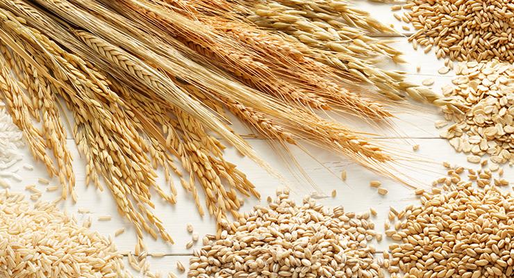 Desteklemelerden yararlanmak için sertifikalı tohum kullanmak zorunlu mu?