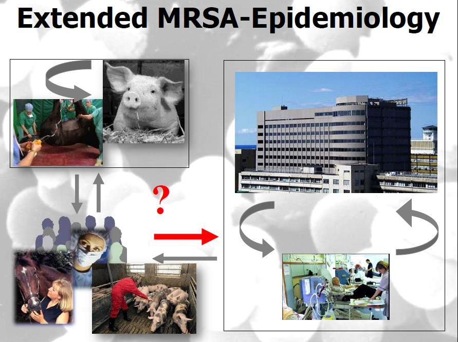 MRSA