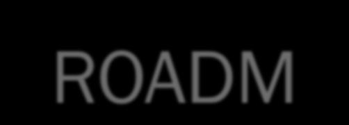 ROADM 5 Şubat, 2004: ROADM Vendors Perk Up http://www.lightreading.com/document.asp?