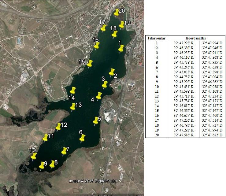 Mogan Gölü nde Sucul Makrofitlere Göre Ekolojik Kalitenin Tahmini Şekil 1.