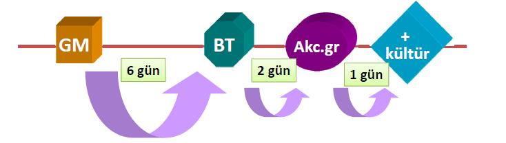 Allo-HSCT de GM Testi Antijenemi ile diğer tanısal testler arasındaki zaman ilişkisi Beta glukan GM den