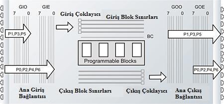24 Şekil 2.17. Resistive Pull-Down bağlantı modeli 2.4.7. Sayısal programlanabilir bloklar Sayısal sinyallerin yapılandırılması için kullanıcının seçtiği bloklardır. Şekil 2.18.