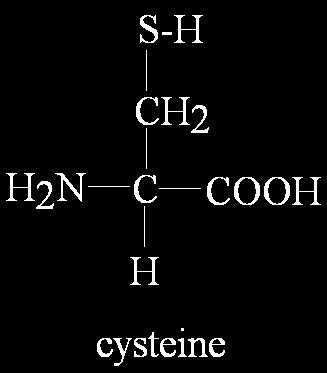 Sistein içerdiği disülfit bağları sayesinde özel bir yapıya sahiptir.