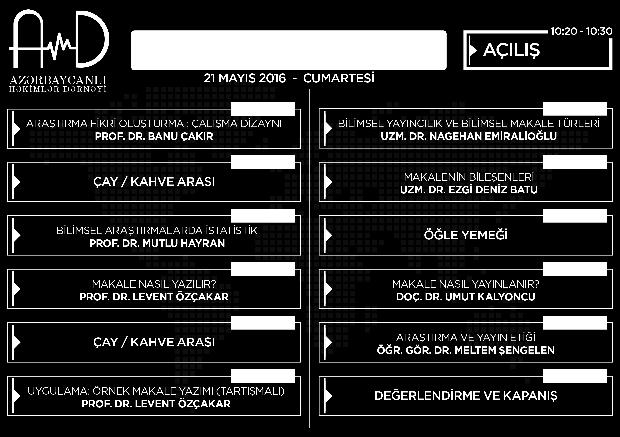 Bu hedef doğrultusunda 21 Mayıs 2016 tarihinde, Hacettepe Üniversitesi nde bir gün süren, özel bir çalıştay düzenlendi.