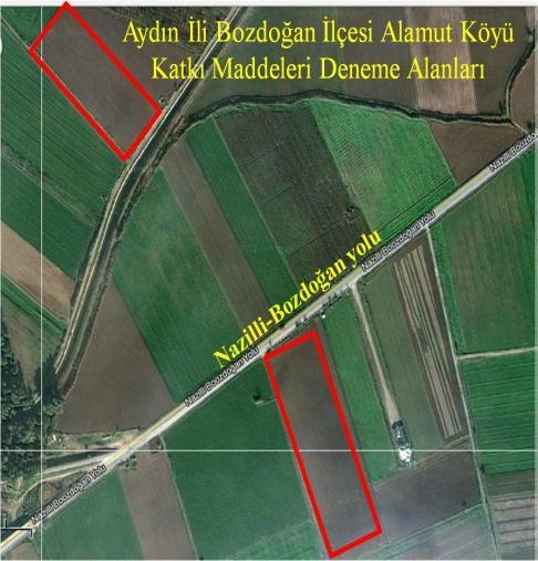 bağlı Alamut Köyü nde üretici koşullarında iki farklı tarlada Sinapis arvensis ile yoğun olarak bulaşıklığı tespit edilen alanlarda yürütülmüştür.