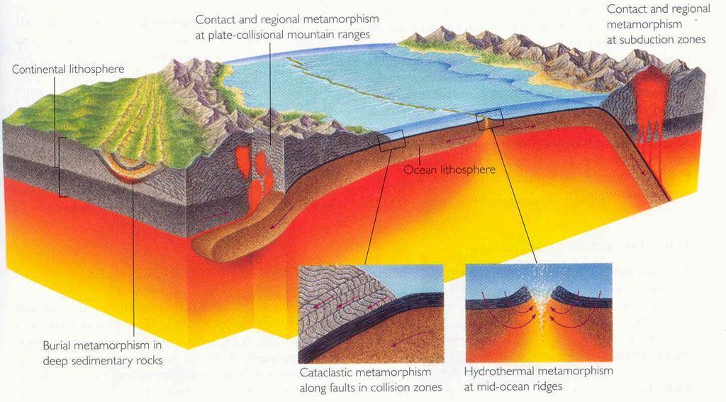 Metamorfizma Çeşitleri Çarpışma zonlarında Dokanak ve bölgesel metamorfizma Çarpışma zonlarında Dokanak ve bölgesel metamorfizma Kıtasal kabuk Okyanusal kabuk Sedimanter çökellerin