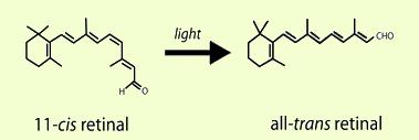 Benzer şekilde Vit A aldehid (Retinal) de ortamda cis- ve trans-