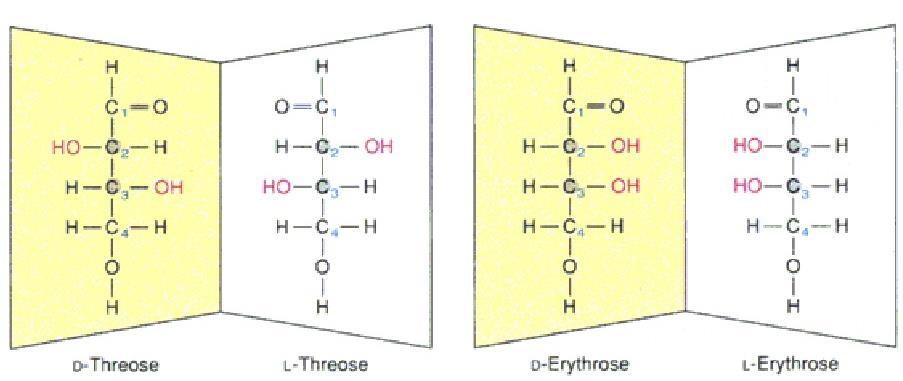 Enantiomerler benzer kimyasal özelliklere (optikçe aktif özellik hariç) ve benzer fiziksel özelliklere sahiptirler (polarize ışığın düzlemde saptırma yönü hariç).