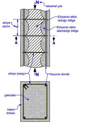 Kolonda Sargı Ne işe Yarar?