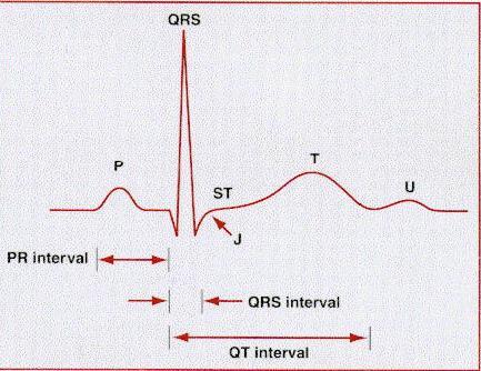 QRS: Ventrikül kasılması Sistol-depolarizasyon-Na ve Ca iyonları P: Atrium
