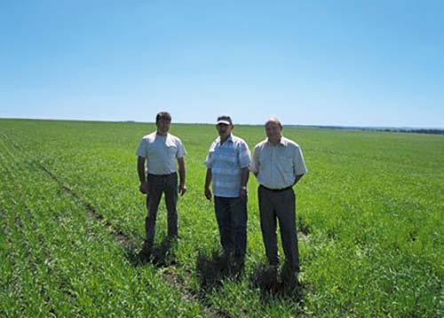 ediyoruz W. M. Nadeew: Vardiyada 100 ila 120 hektar, sezonda 2.500 hektardan fazla Yeni Citan 12001-C miz ile sorun değil, diyor. W. M. Nadeew, Agroterra-Grubuna ait olan Rus tarım işletmesi OOO Schazk Zolotaja Niva nın Yetkili Genel Müdürü.