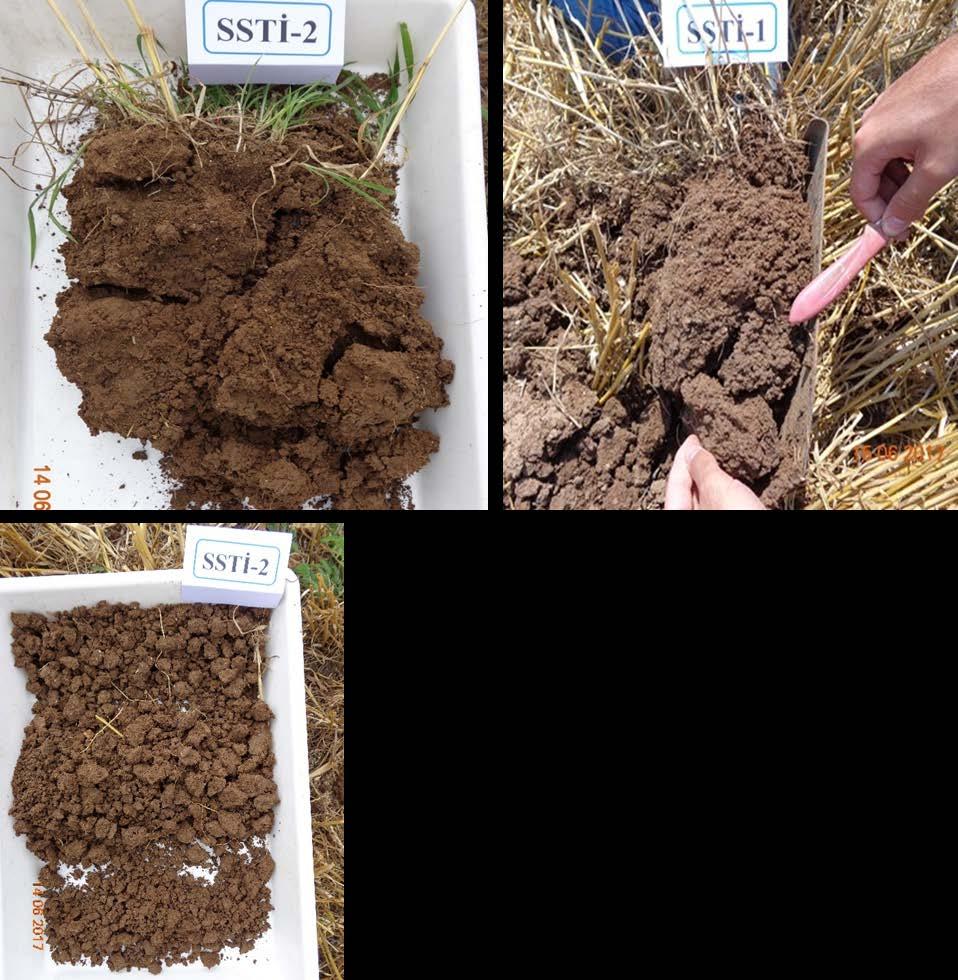 Toprak Stratejik Sıfır Toprak (SSTİ) Herbisit uygulama Doğrudan tahıl ekim