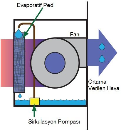 1764 Şekil 3. Direkt evaporatif soğutmanın çalışma prensibi [9]. 2.