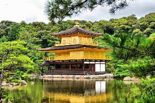 Yerel restoranda alacağımız öğle yemeğimizin arından önemli bir Şinto Tapınağı olan Fushimi İnari Taisha ya gidiyoruz.