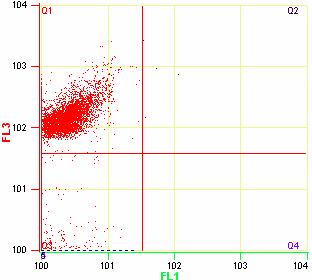 48 Şekil 6.6 PAA (2500 µg/ml MA: 30.000) bulunan kültür ortamında J774 hücrelerinin Apoptotik-Nekrotik etkisinin flow sitometrik tayini (48 saat inkübasyon sonrası) Şekil 6.7 PAA (2500 µg/ml MA: 100.