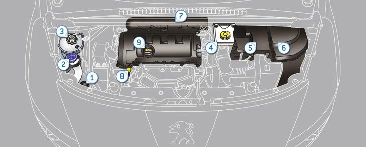 Kontroller Benzinli motor bölümleri Değişik sıvıların seviyelerinin kontrolüne ve bazı elemanların değişimine erişim sağlar.. Hidrolik direksiyon deposu.