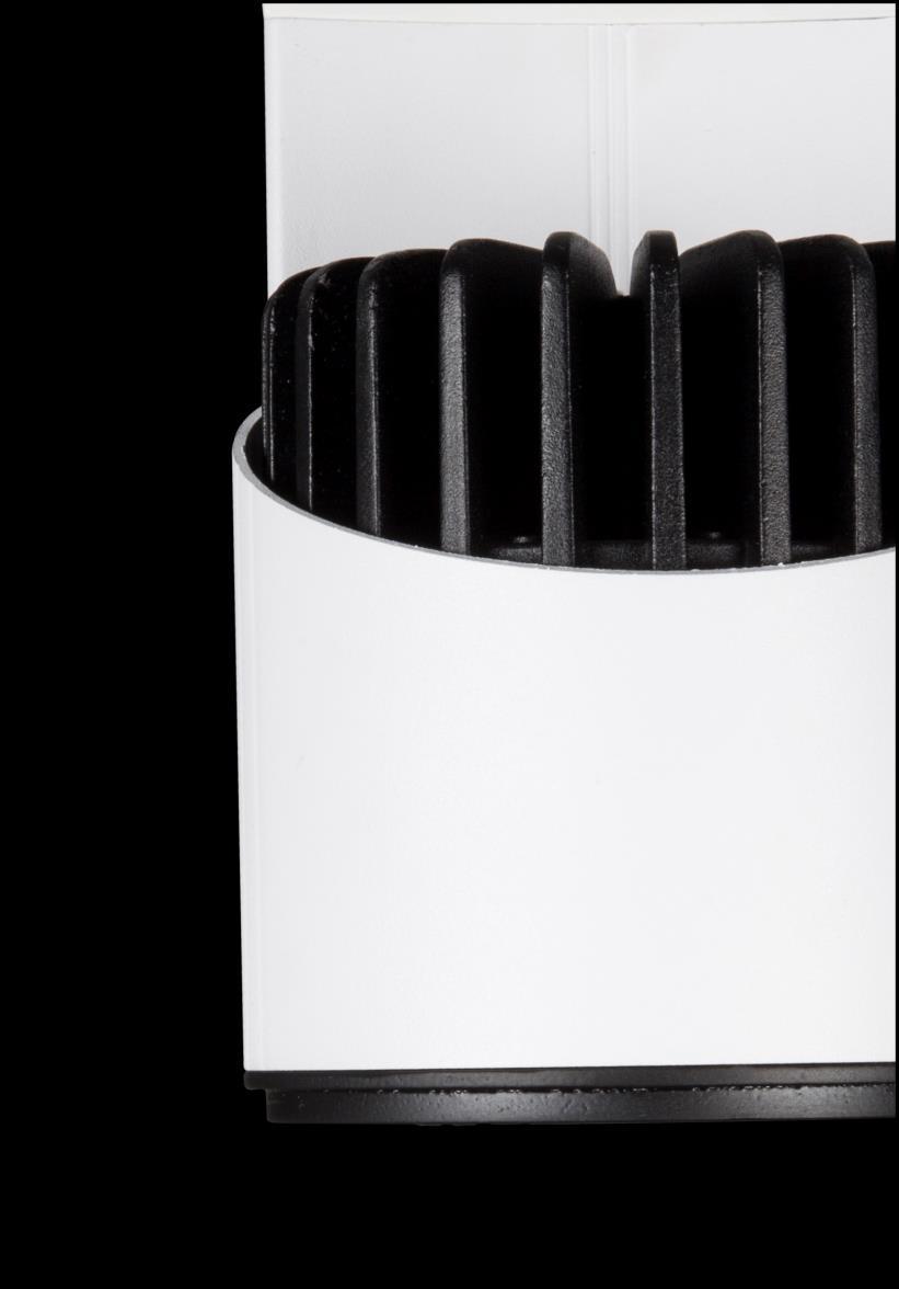 RAY SPOT AKT 103 Aluminyum profil gövde ve enjeksiyon kafa Yüksek saflıkta aluminyum reflektör; dar, orta ve geniş açı seçenekleri